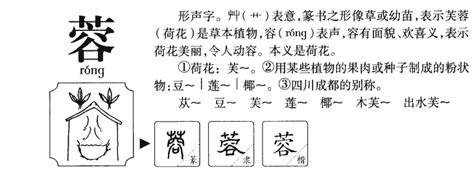 蓉名字意思|蓉字的含义和寓意